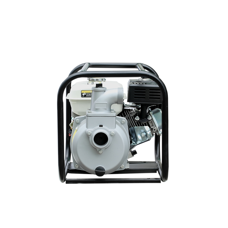 Wp-30-001