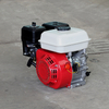 Motor de gasolina 170F-001